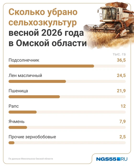 Больше всего аграрии убрали пшеницы  | Источник: Юрий Скулыбердин / Городские медиа 
