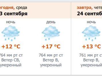 Петербург: облачно, дождь и до +18