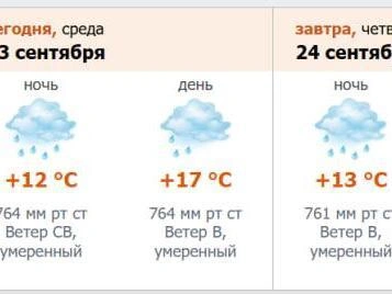 Источник: скриншот с meteo.nw.ru