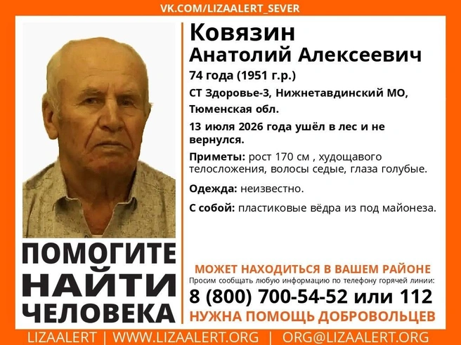 Источник: «Лиза алерт» / vk.ru