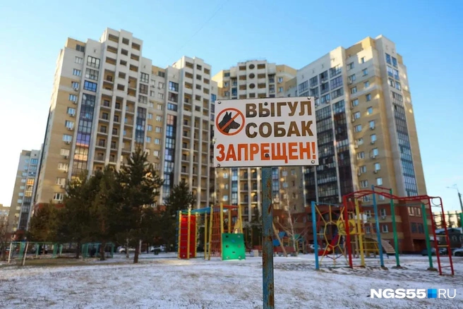 В микрорайоне следят за чистотой | Источник: Евгений Софийчук / NGS55.RU