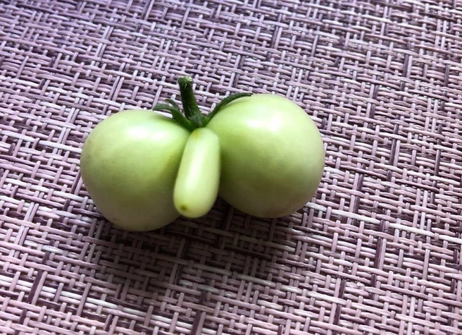 Природа, конечно, удивительная! Только посмотрите, какие формы и виды получаются у некоторых овощей | Источник: читатель 72.RU