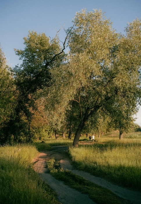 Источник: Александр Воднев