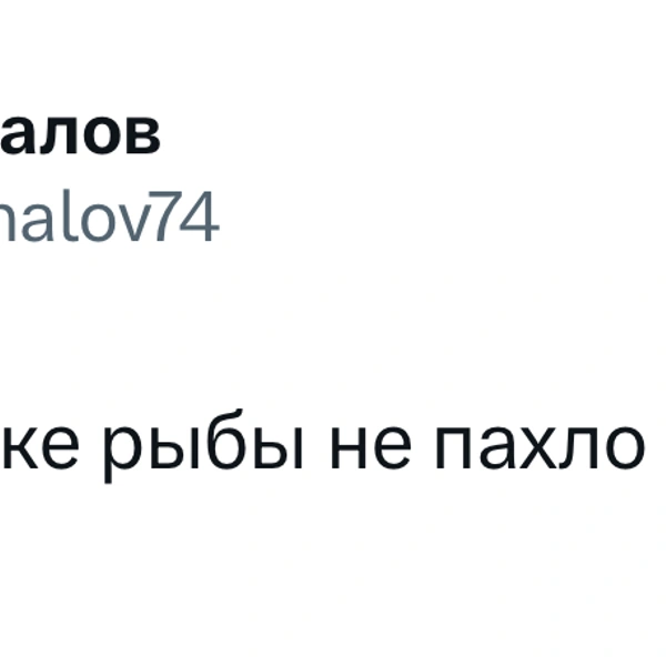 Источник:  X (Twitter)