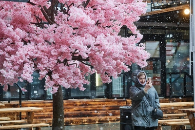 Заморозки до -1 градуса в Самарской области: достаем пуховики