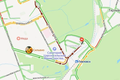 Каршеринг уронил столб в Павловске, вызвав транспортный коллапс