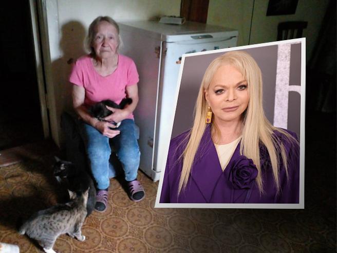 Почему нас растоптали, а Долина на коне Крик души человека, чья мать лишилась единственного жилья по вине аферистки