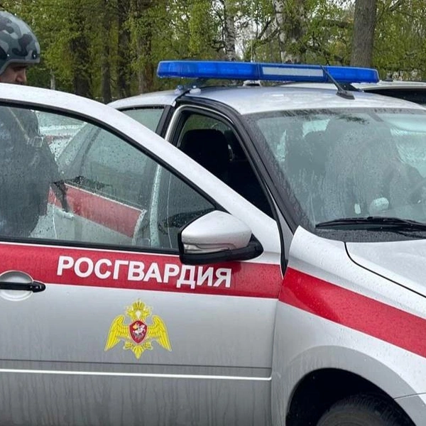 Источник: Вневедомственная охрана по СПб и ЛО