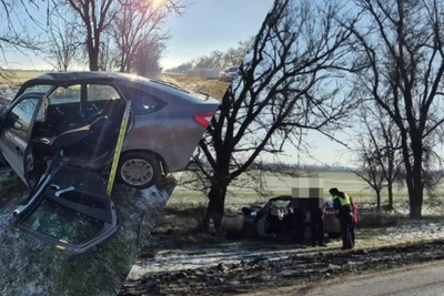 Начинающая водительница в Буденновском округе врезалась в дерево