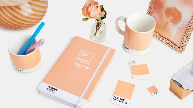 Цвет 2024 года от Pantone: персиковый Peach Fuzz