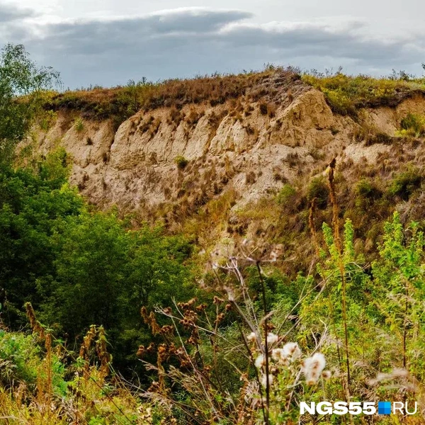 Здесь можно и фотосессию устроить | Источник: Кирилл Башинский / NGS55.RU