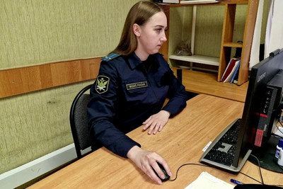 Должница из Жердевки заплатила 448 тысяч после ареста телефона