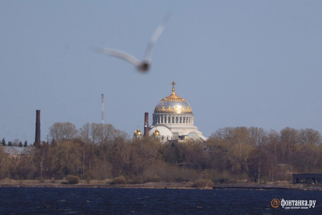 От дорожного ремонта до телешоу в фортах. Что произошло в Кронштадте с 24 октября по 12 ноября | Источник: Сергей Михайличенко / «Фонтанка.ру»