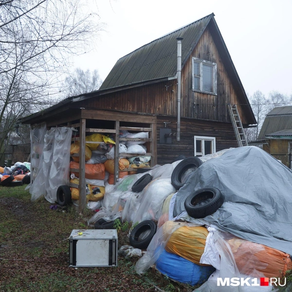 Источник: Дмитрий Толстошеев / MSK1.RU