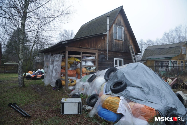 Источник: Дмитрий Толстошеев / MSK1.RU