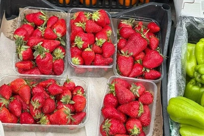 Клубника и голубика в Тюмени: цены и места продаж