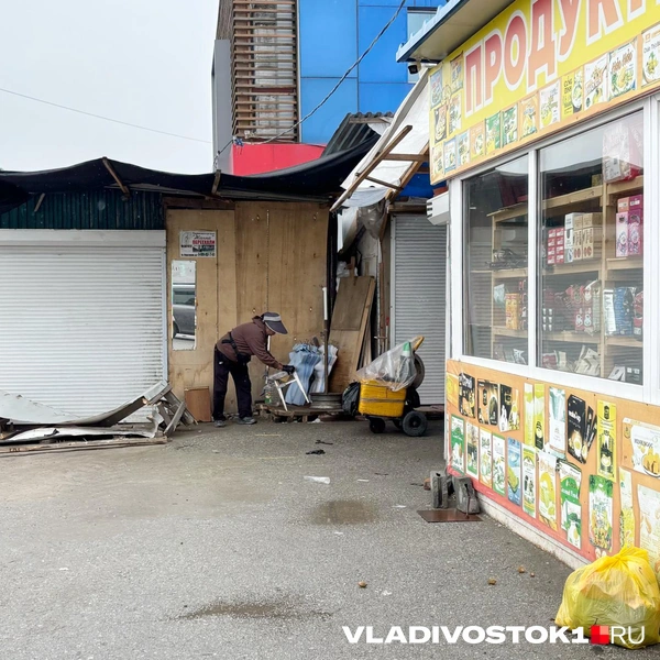 Источник: Елена Буйвол / VLADIVOSTOK1.RU