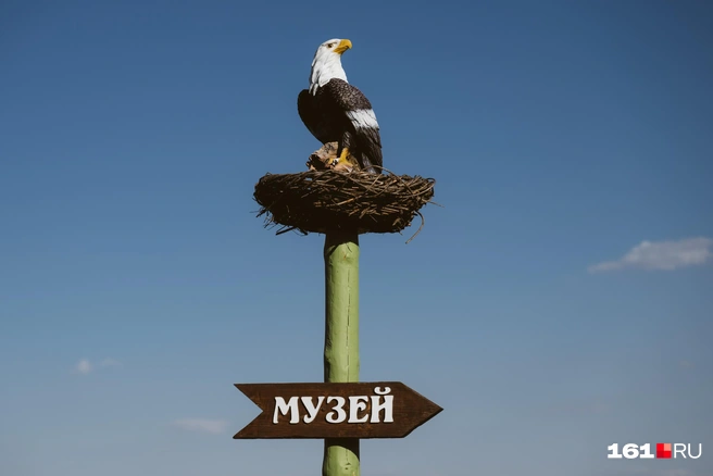 Источник: Евгений Вдовин / 161.RU
