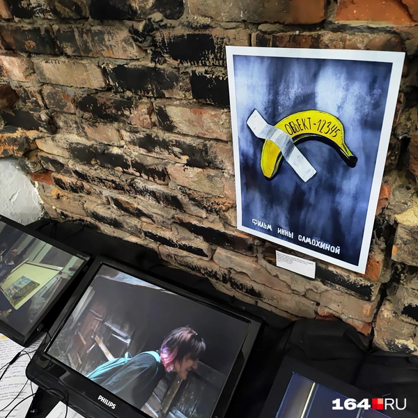 Источник: Сергей Гендин / 164.RU