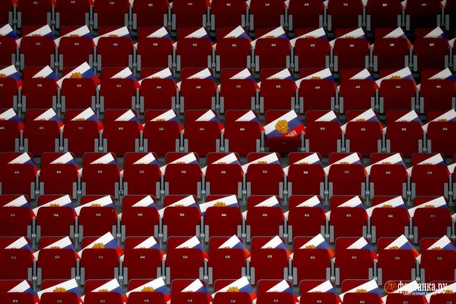 Источник: Дарья Драй / «Фонтанка.ру»