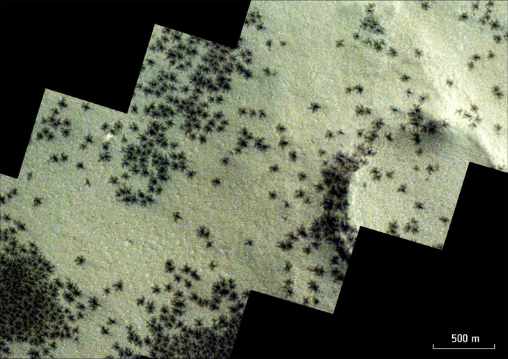 Выползают по весне: откуда на поверхности Марса полчища гигантских «пауков»?