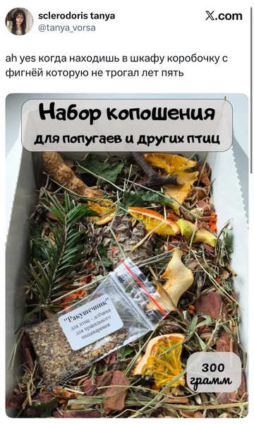 Источник: X (Twitter)