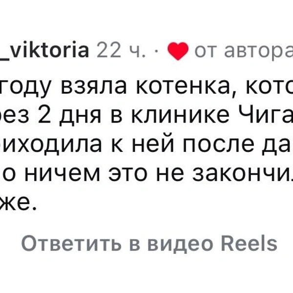 Источник: Софья Шмакова / Vk.com