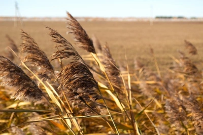 В Забайкалье 10 апреля прогнозируют ветер до 30 м/с