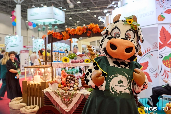 Выставка в целом выглядела ярко, несмотря на общий не самый позитивный тон обсуждения проблем | Источник: Александр Ощепков / NGS.RU