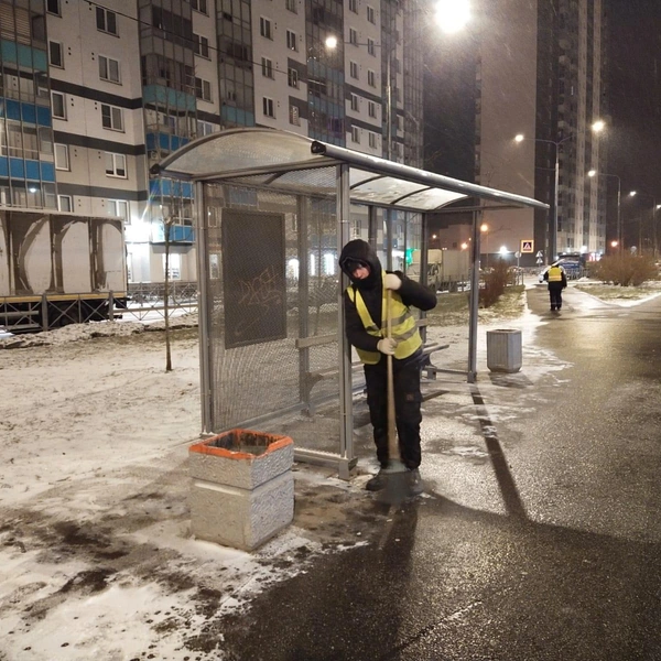 Источник: комитет по благоустройству Петербурга