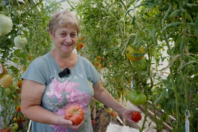 Siberian Woman Grows 563 Tomato Varieties