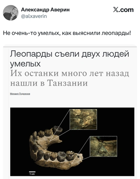 Источник: X (Twitter)