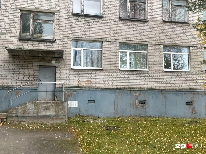 Источник: Анастасия Гусева / 29.RU