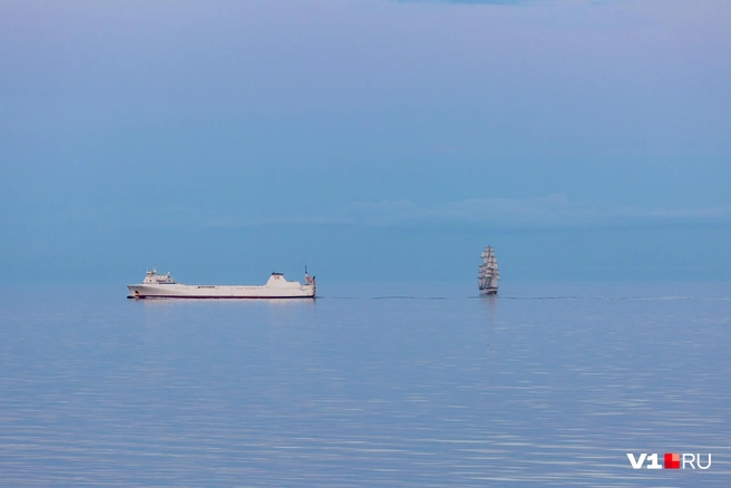 Встречи посреди моря могут быть самыми разными | Источник: Константин Завриков / V1.RU