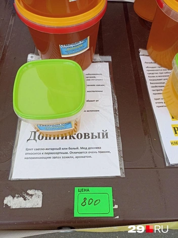 Источник: Иван Митюшёв / 29.RU