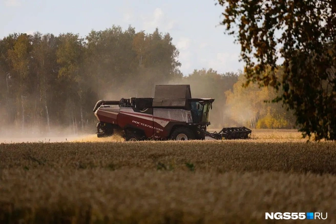 Хлеборобы маневрируют вокруг лесов | Источник: Евгений Софийчук / NGS55.RU 