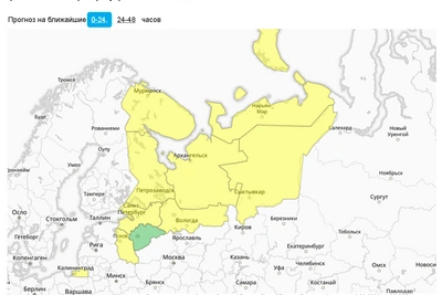 В Петербурге и Ленобласти объявлен желтый уровень погодной опасности