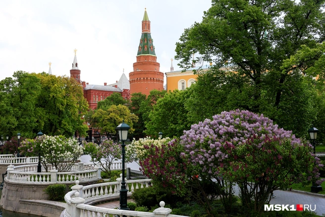 Москва сиреневая | Источник: Артем Устюжанин / MSK1.RU