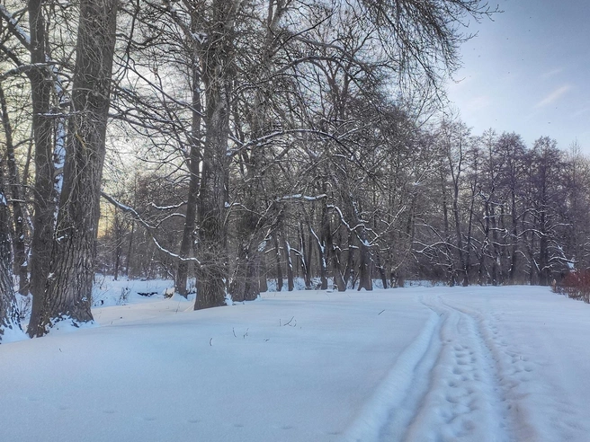 Морозное утро в Левыкинском городке
