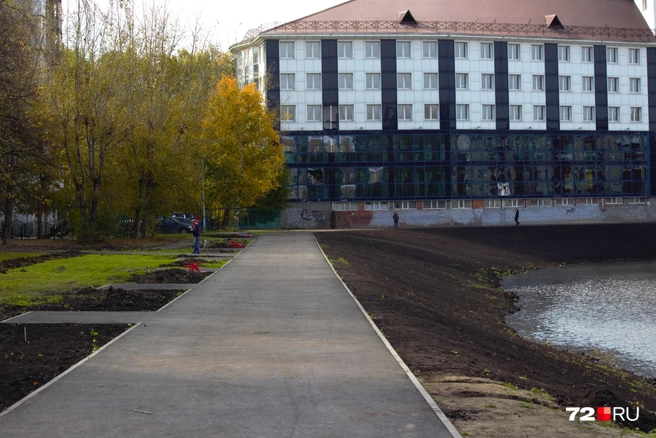 Раньше вокруг пруда росли деревья. Их вырубили  | Источник: Павел Красоткин / 72.RU 