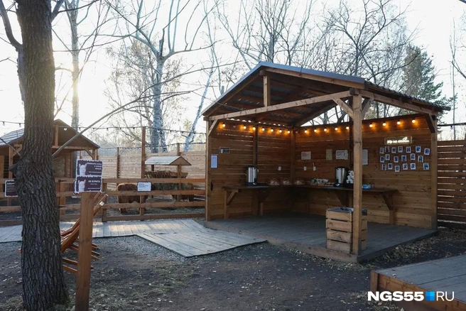 Никаких новых капитальных строений в парке больше не будет | Источник: Евгений Софийчук / NGS55.RU