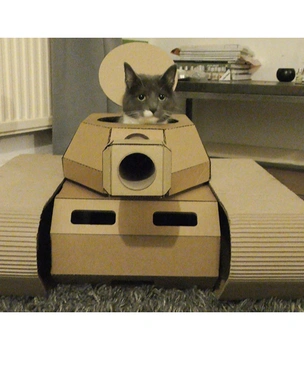 Коты в картонных танках (21 фотография)