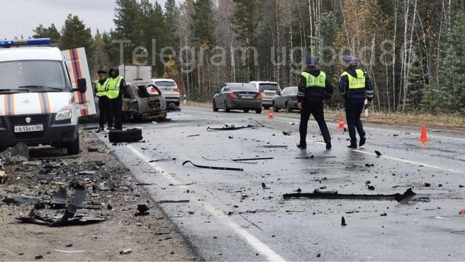 Все обстоятельства трагедии предстоит выяснить сотрудникам полиции | Источник: Госавтоинспекция Югры / T.me