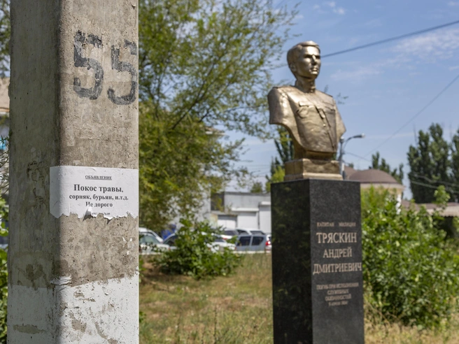 Чиновники администрации могли бы обратиться за помощью, если у самих нет сил и желания ухаживать | Источник: Константин Завриков / V1.RU