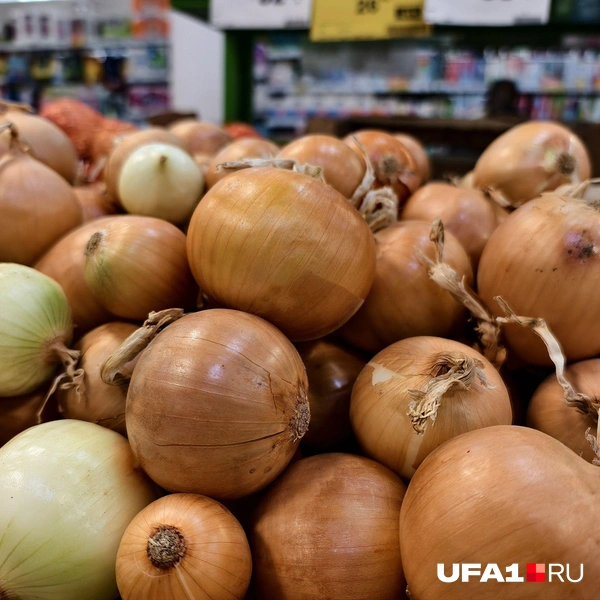 Источник: Булат Салихов / UFA1.RU