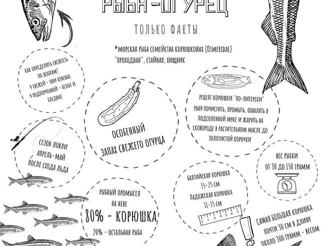 Источник: «Фонтанка.ру»
