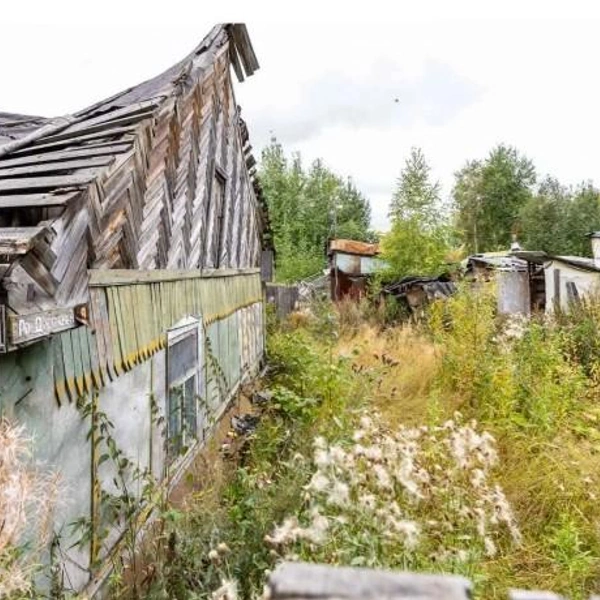 Землю придется очищать от сорняков | Источник: surgut.etagi.com