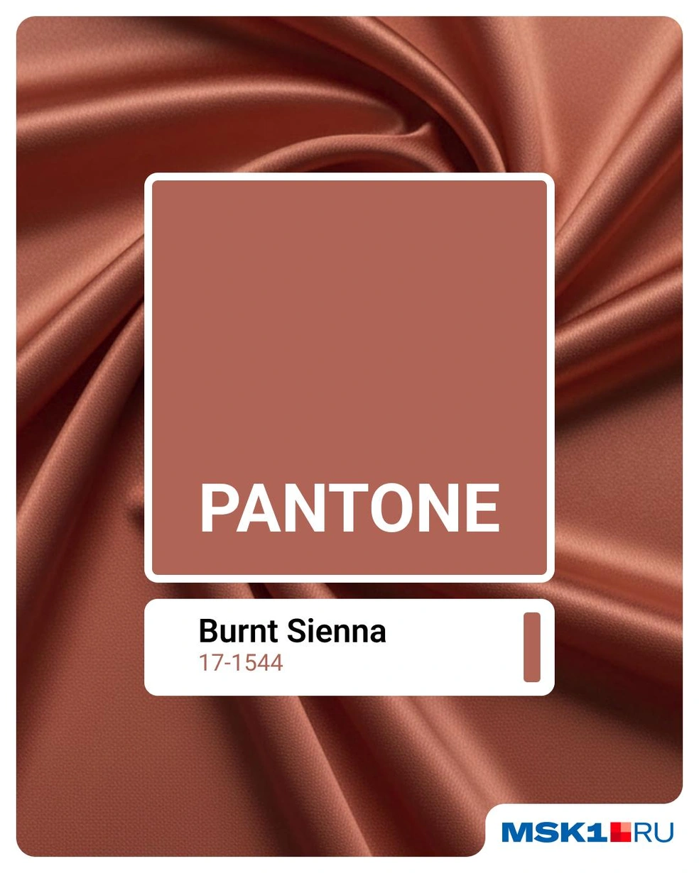Теплый терракотовый&nbsp;Burnt Sienna | Источник: Евгения Бикунова / Городские медиа