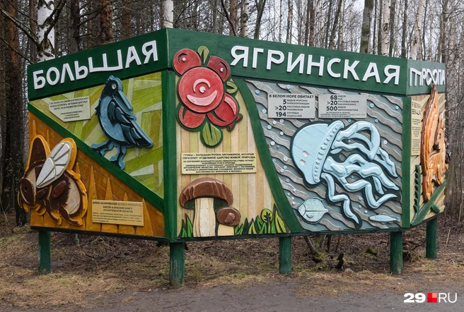 Один из стендов Ягринской тропы | Источник: Иван Митюшёв \ 29.RU