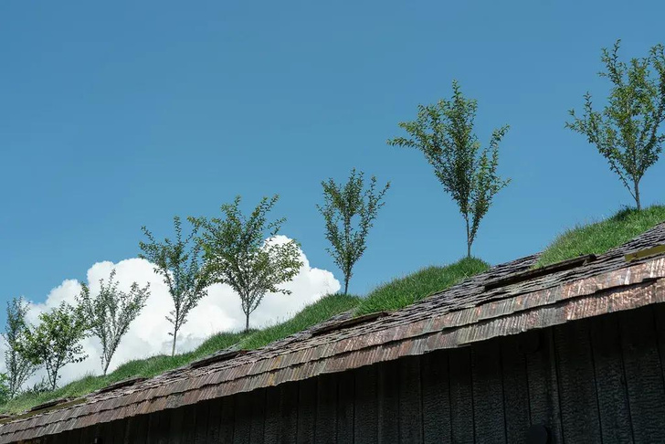 В Японии построили дом с вишневым садом на крыше